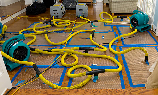 Professional Burst Pipe Water Damage technician working in Scipio, UT